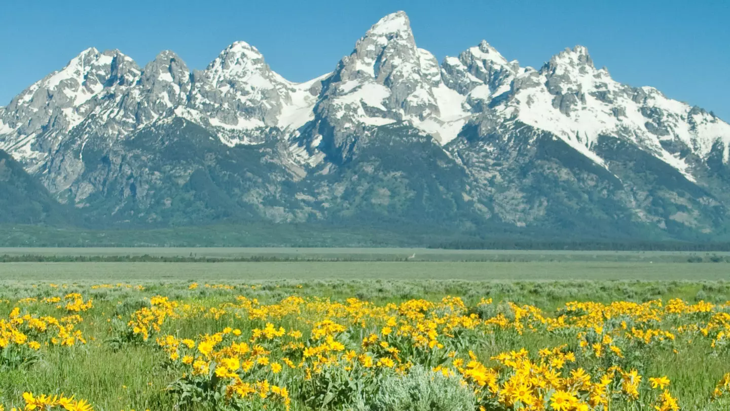 Teton Mountain Range